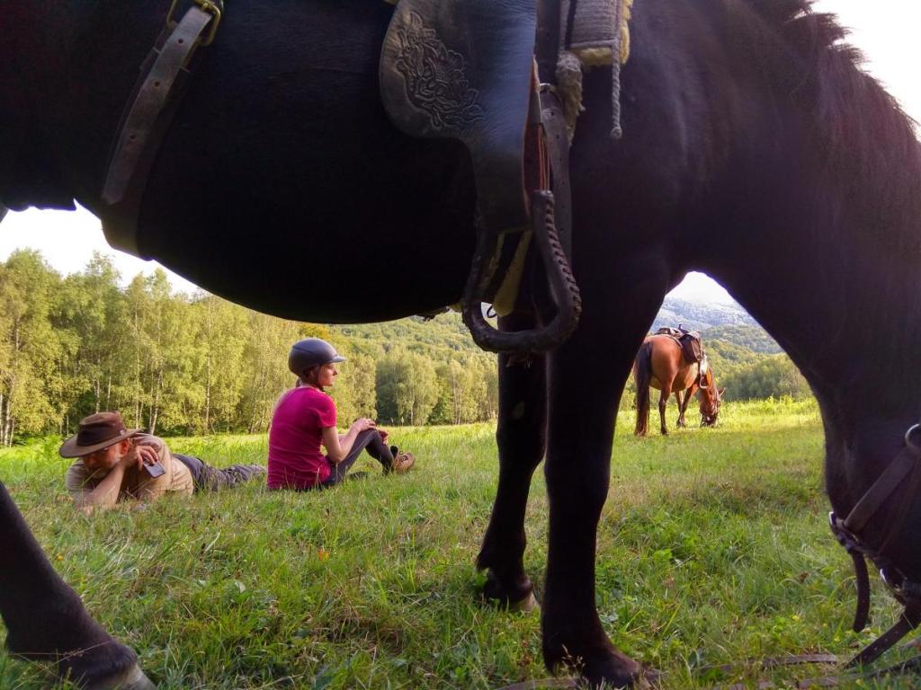 Horse Riding Tours Slovakia