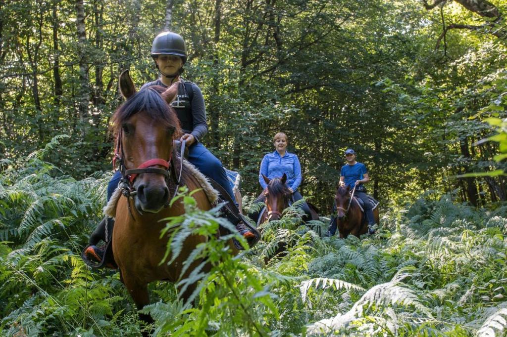 Horse Riding Tours Slovakia