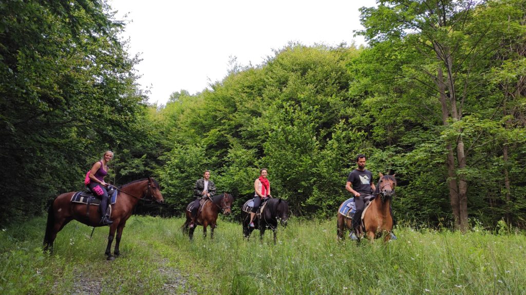 Horse Riding Tours Slovakia