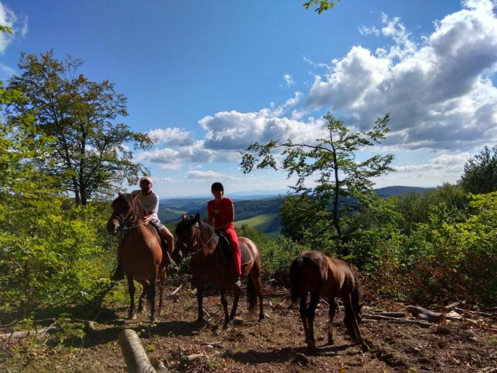 Horse Riding Tours Slovakia
