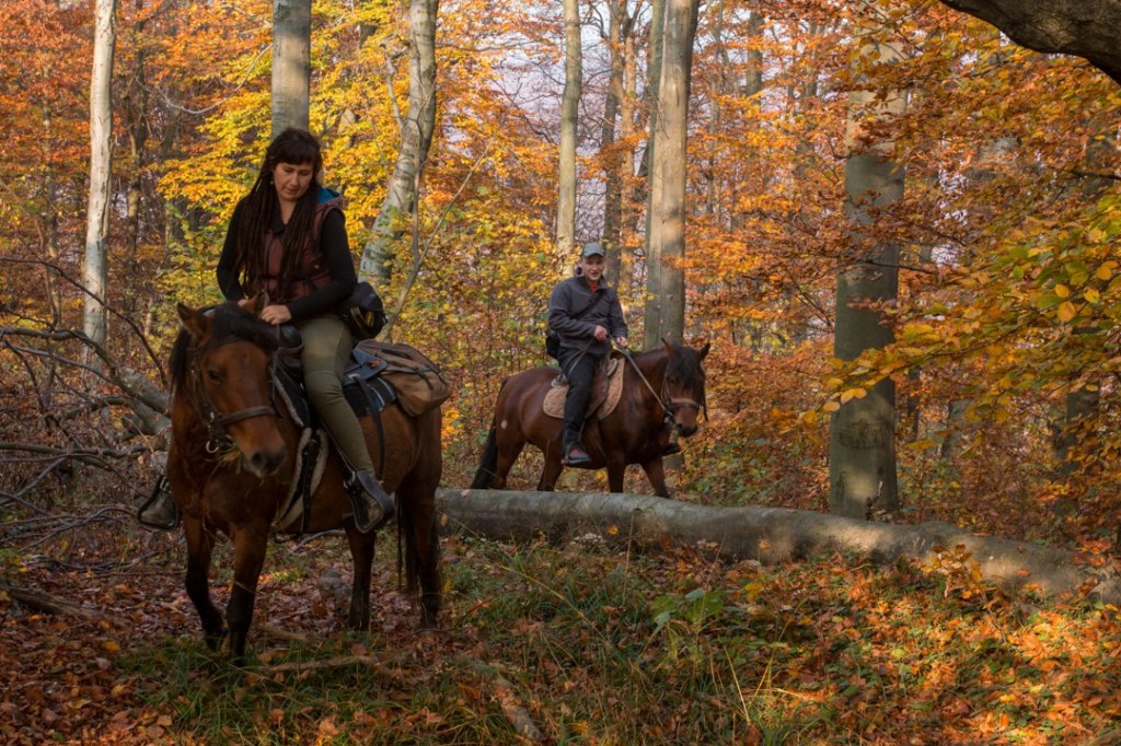 Horse Riding Tours in Slovakia