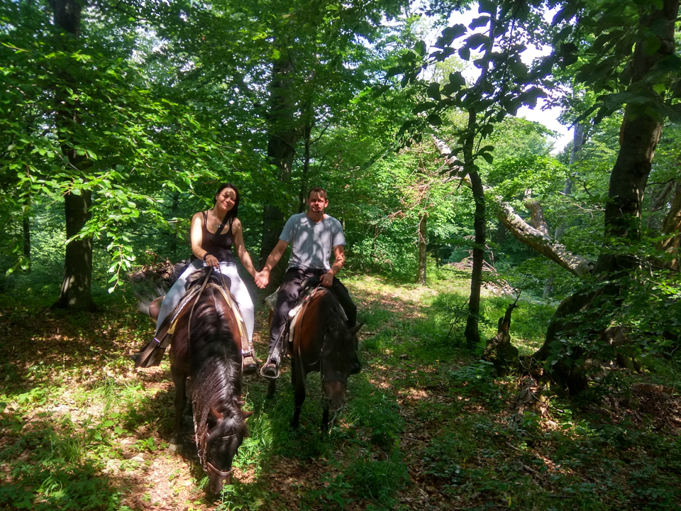 Horse Riding Tours in Slovakia