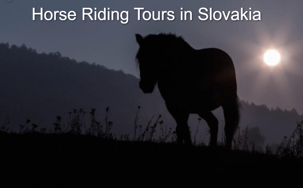 Horse Riding Tours in Slovakia