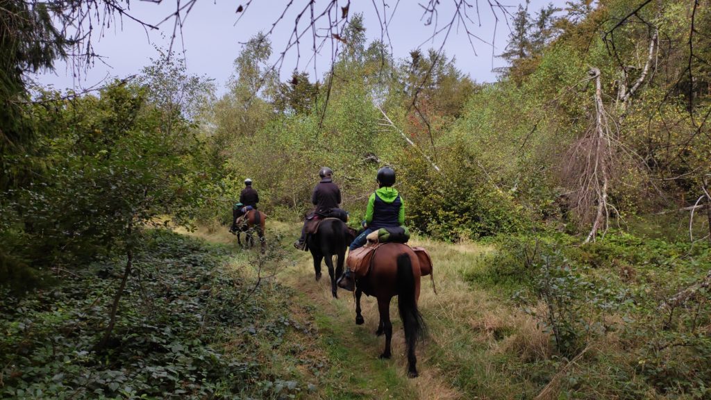 Horse Riding Slovakia