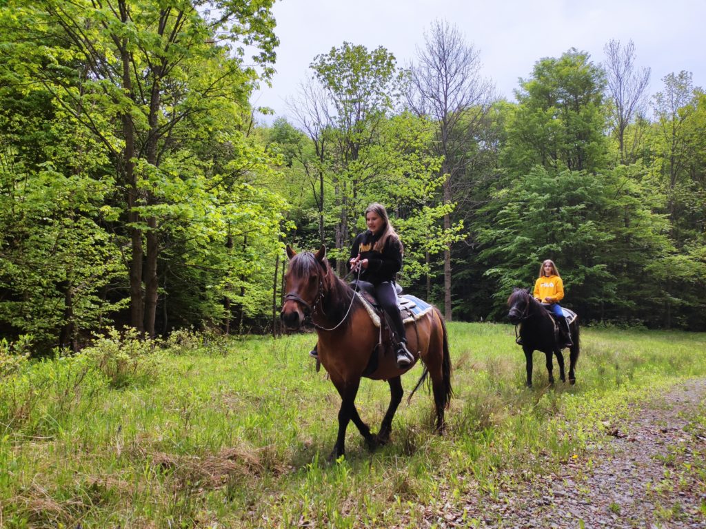 Horse Riding Slovakia