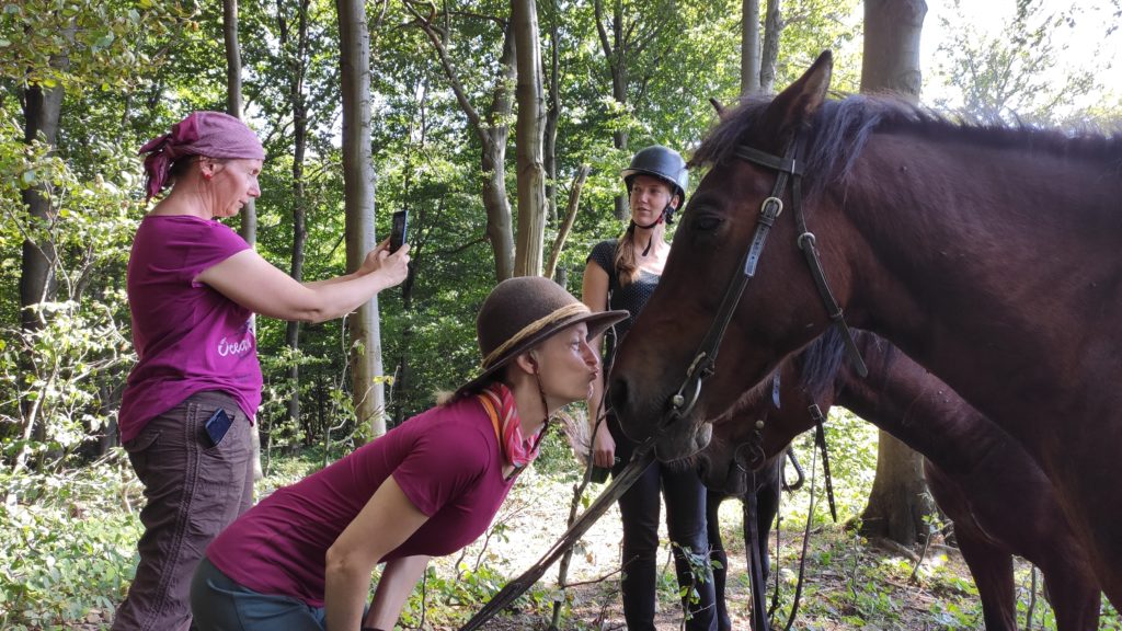 Horse Riding Slovakia