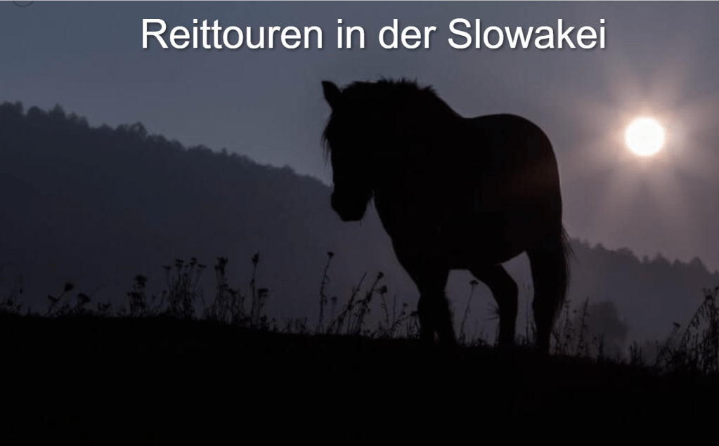 Reiten in der Slowakei